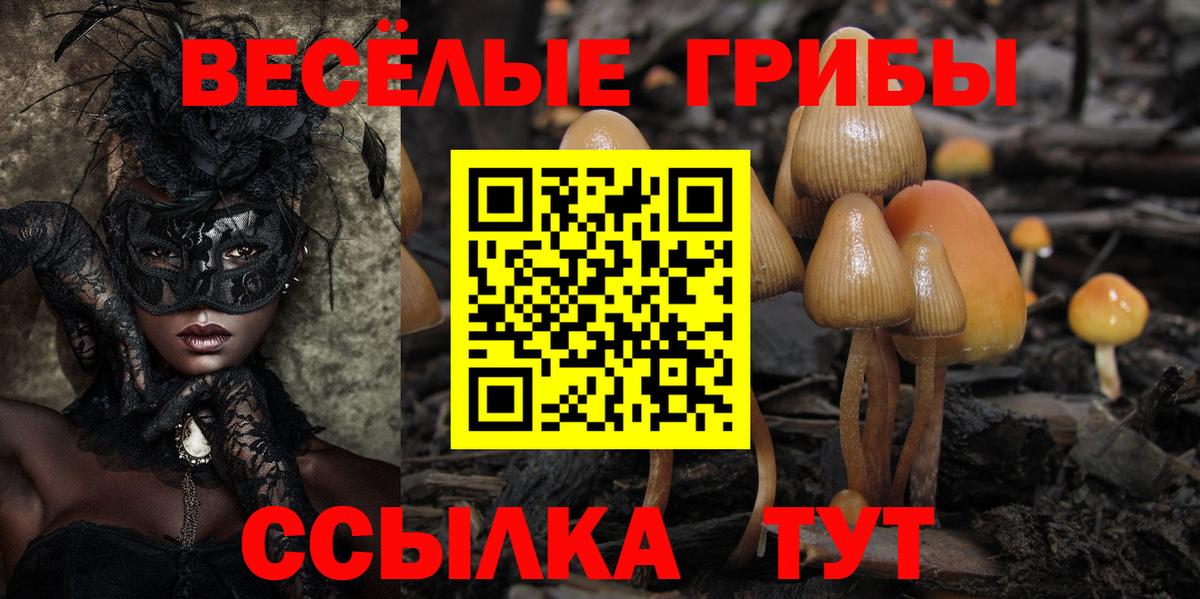 Батайск  Галлюциногенные грибы MAGIC MUSHROOMS  Галлюциногенные грибы Psilocybe  Вход с VPN 